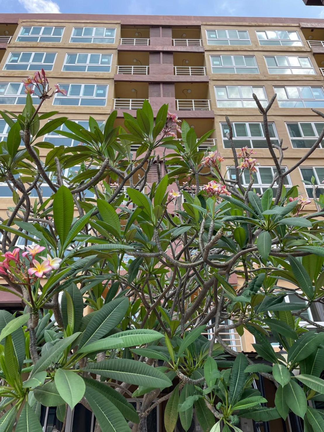 H2Do Hotel Ban Khlong Sanam Phli المظهر الخارجي الصورة